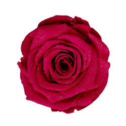 Classic natural red rose with a diamond effect code: DIA RED 02.