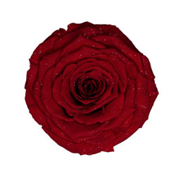 Classic natural red preserved rose with a diamond effect.