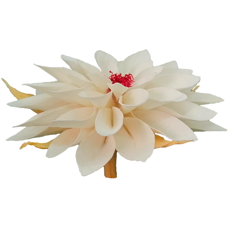 Preserved white flower, Roseamor