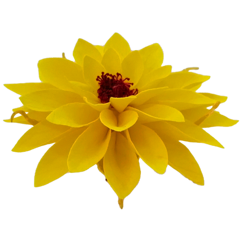 Preserved yellow flower, Roseamor