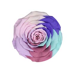 Candy colored preserved rainbow rose with a mint blue center.