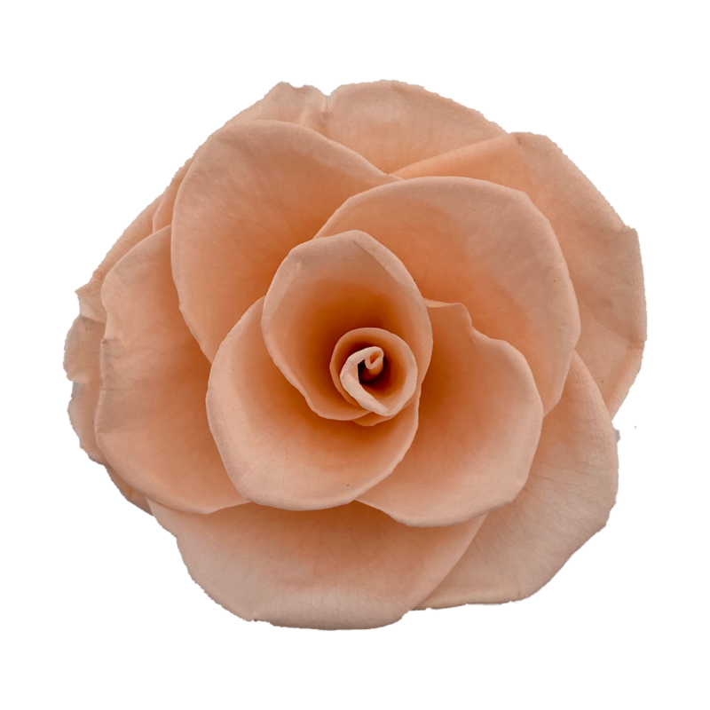 Rose pink preserved rose, Roseamor preserved roses,