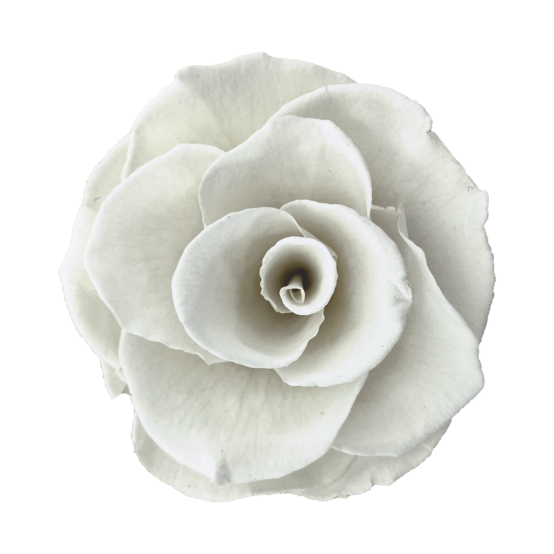 White preserved rose, Roseamor preserved roses,