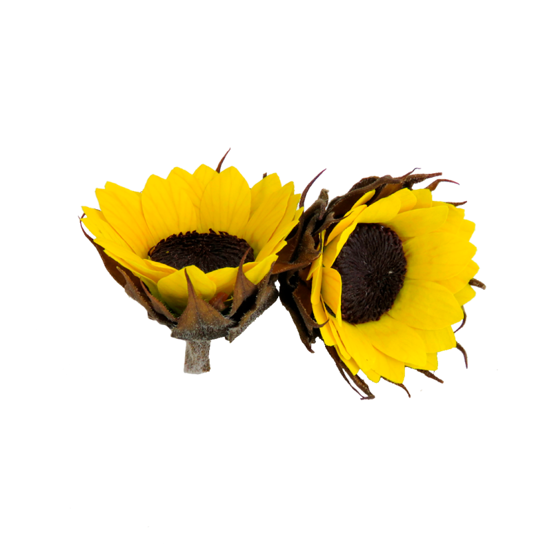 Sunflower, Roseamor preserved flowers,
